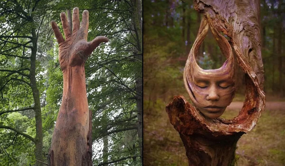 When the Tree Is the Punchline: Nature as Co-Artist