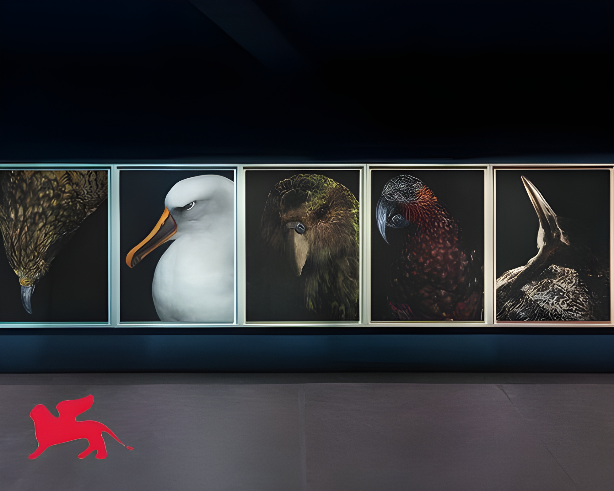 Dead Birds, Soft Light, and the Quiet Case for Photography Without Algorithms